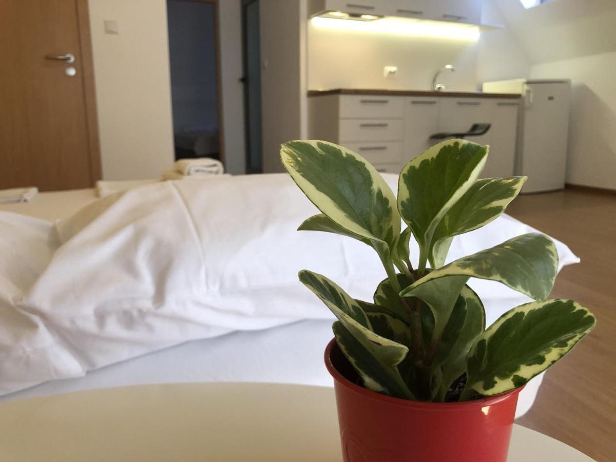 Aparthotel Elly بوموري المظهر الخارجي الصورة